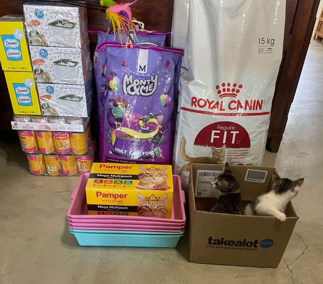 Cat trapping in the Winelands